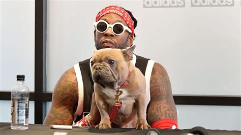 trappy s goyard|2 Chainz Reveals His Superstar Dog Trappy Has Passed Away.